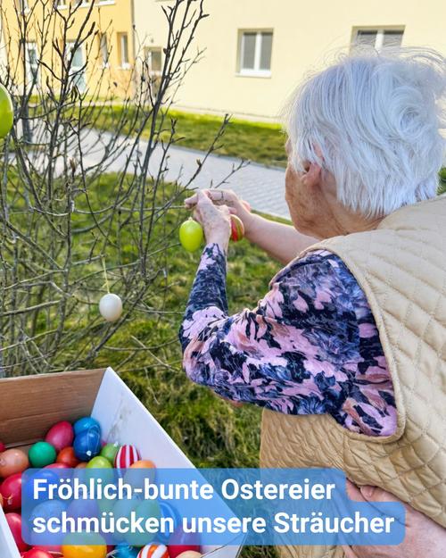 Eine Bewohnerin schmückt die Büsche mit bunten Ostereiern.